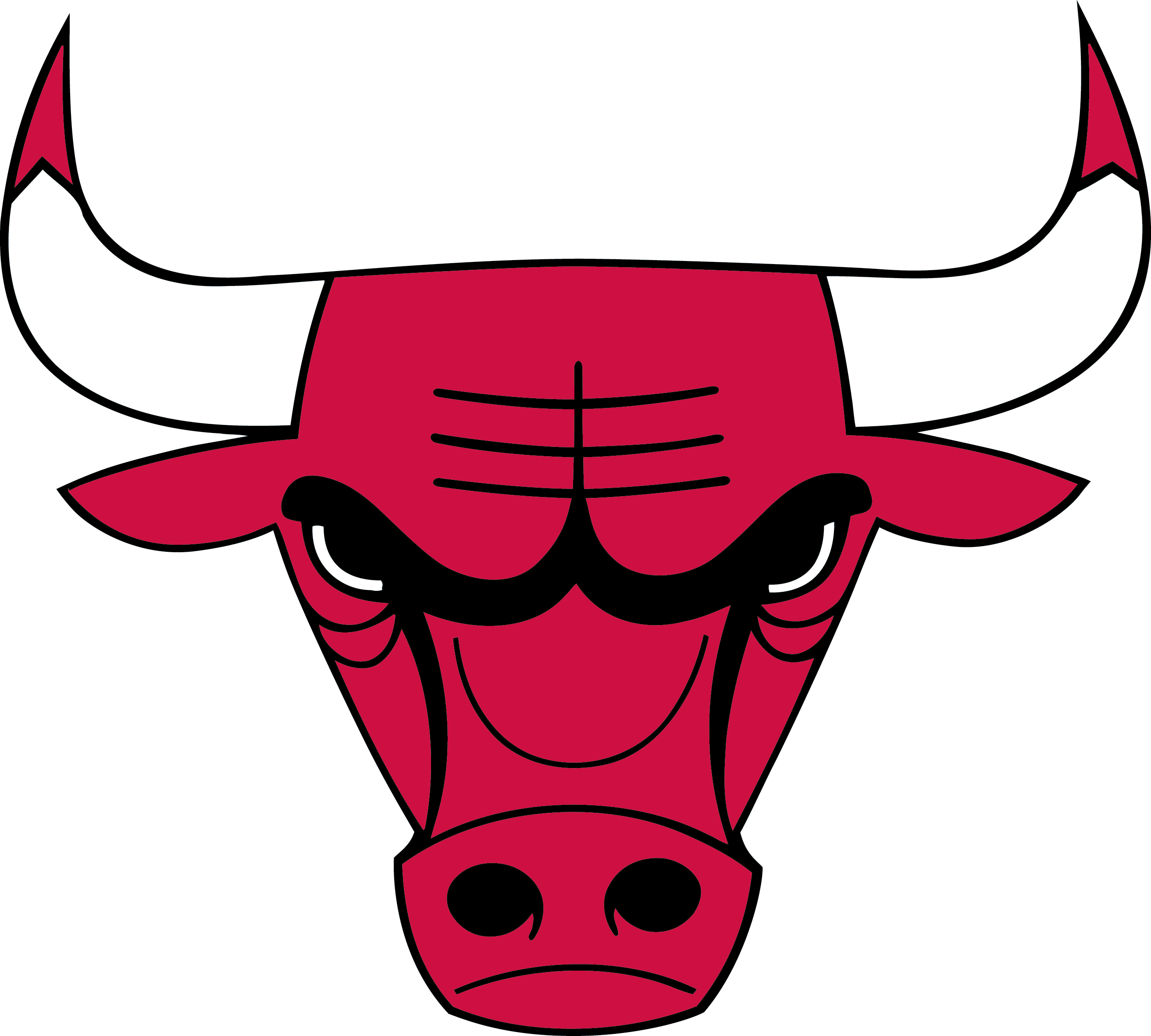 Chicago Bulls Logo